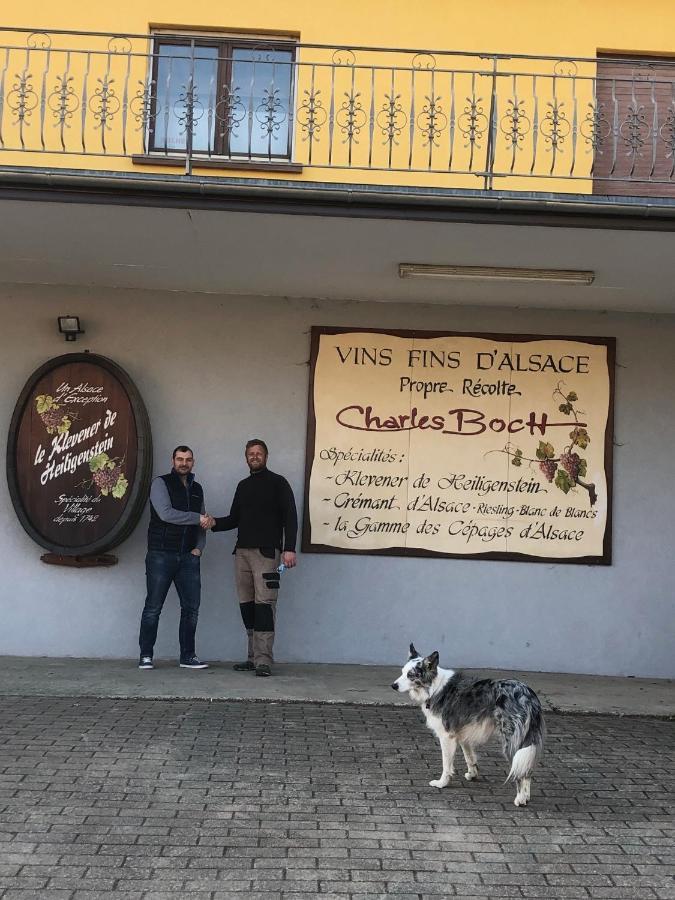 Sollaris Appartement 1ère étage à 11km de Europa-Park Friesenheim Esterno foto